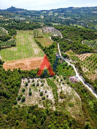 Αγροτεμάχια 4.440 τ.μ. για πώληση, Χαλκιδική, Κασσάνδρα