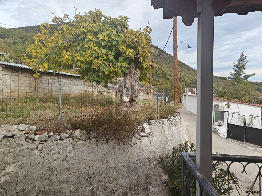 Detached home 36 sqm for sale, Corinthia, Soligeia