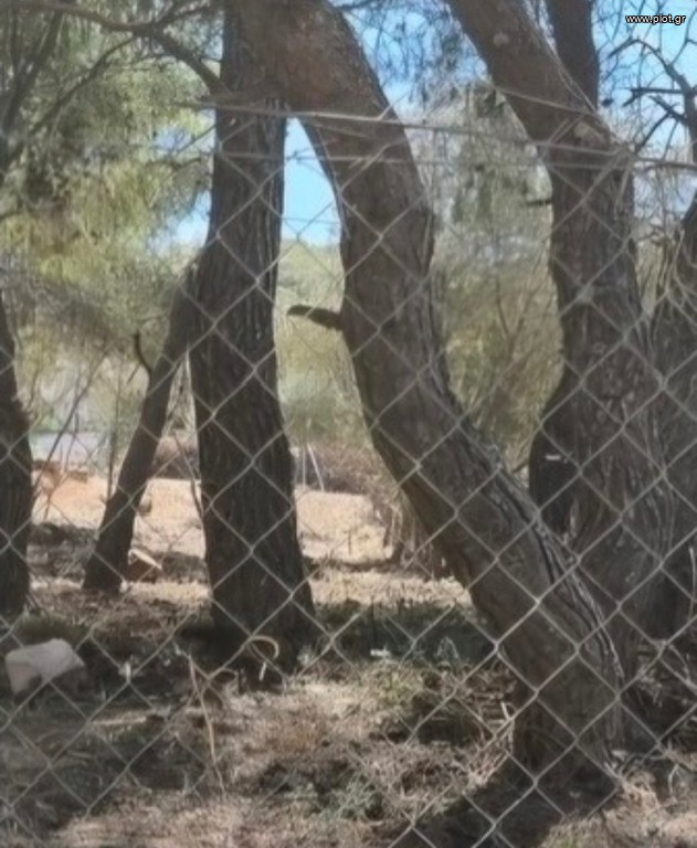 Οικόπεδο 897 τ.μ. για πώληση, Αθήνα - Νότια Προάστια, Γλυφάδα