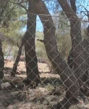 Οικόπεδο 897τ.μ. για πώληση-Γλυφάδα