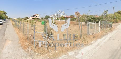Αγροτεμάχια 2.860τ.μ. για πώληση-Παλλήνη