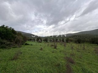 Αγροτεμάχια 2.036 τ.μ. για πώληση