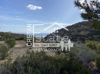 Αγροτεμάχια 5.532 τ.μ. για πώληση, Ν. Λασιθίου, Ιεράπετρα-thumb-14