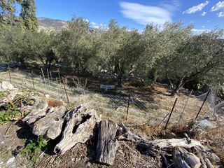 Οικόπεδο 157 τ.μ. για πώληση, Ν. Λασιθίου, Ιεράπετρα-thumb-2
