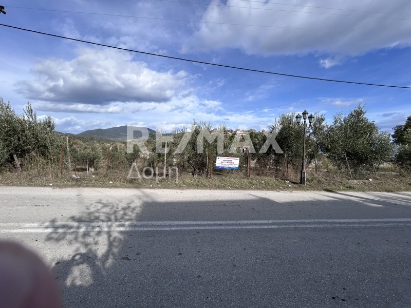 Οικόπεδο 1.008 τ.μ. προς πώληση, Μαγνησία, Πτελεός