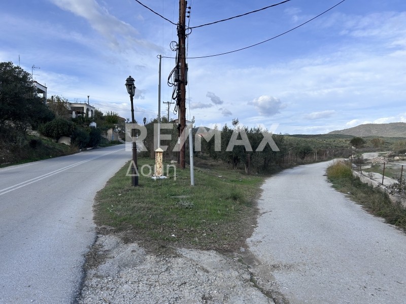 Οικόπεδο 1.008 τ.μ. προς πώληση, Μαγνησία, Πτελεός