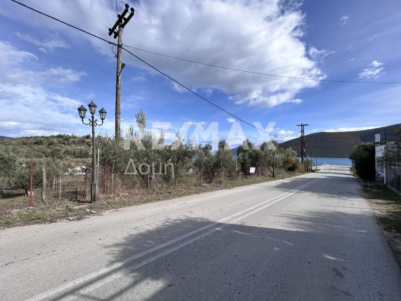 Οικόπεδο 1.008 τ.μ. προς πώληση, Μαγνησία, Πτελεός