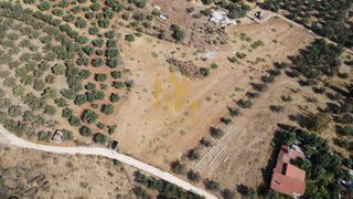 Οικόπεδο 9.100 τ.μ. για πώληση, Αχαΐα, Αίγιο-thumb-6
