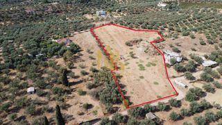 Οικόπεδο 9.100 τ.μ. για πώληση, Αχαΐα, Αίγιο-thumb-9