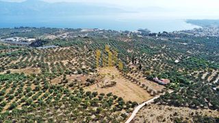 Οικόπεδο 9.100 τ.μ. για πώληση, Αχαΐα, Αίγιο-thumb-1