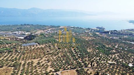 Land plot 9.100sqm for sale-Aigio » Kouloura