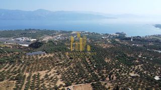 Οικόπεδο 9.100 τ.μ. για πώληση, Αχαΐα, Αίγιο-thumb-3