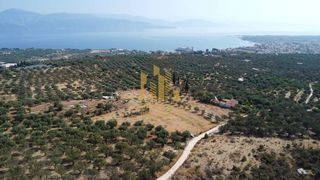 Οικόπεδο 9.100 τ.μ. για πώληση, Αχαΐα, Αίγιο-thumb-8