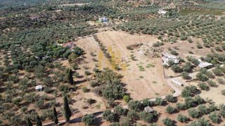 Οικόπεδο 9.100 τ.μ. για πώληση, Αχαΐα, Αίγιο-thumb-10
