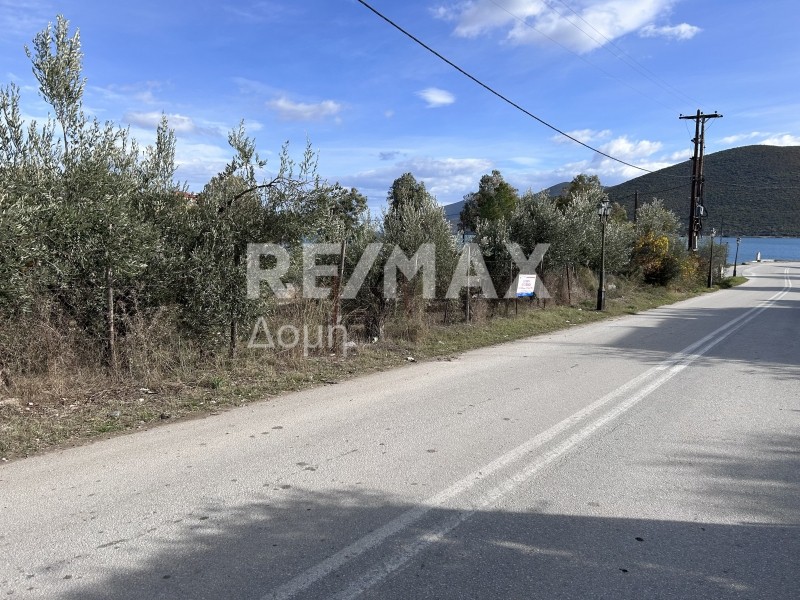 Οικόπεδο 1.006 τ.μ. προς πώληση, Μαγνησία, Πτελεός