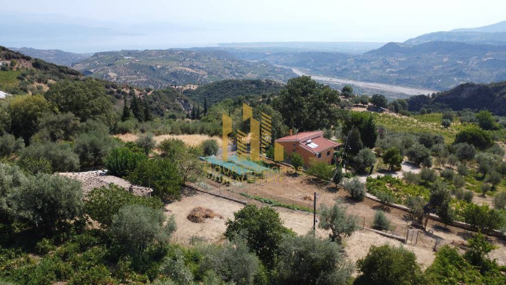 Οικόπεδο 1.264 τ.μ. προς πώληση, Αχαΐα, Αιγιάλεια
