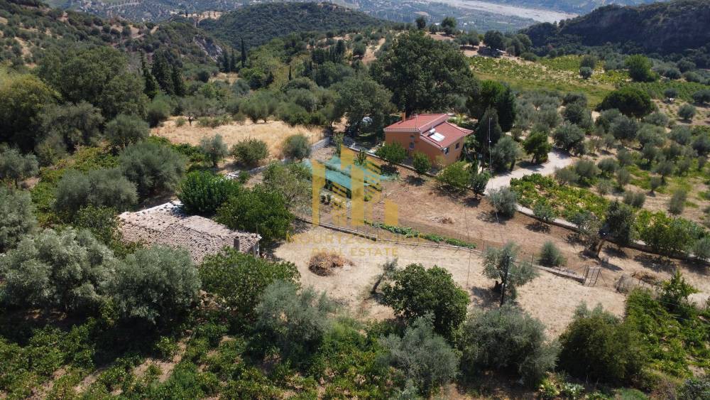 Οικόπεδο 1.264 τ.μ. προς πώληση, Αχαΐα, Αιγιάλεια