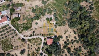 Οικόπεδο 1.264 τ.μ. για πώληση, Αχαΐα, Αιγιάλεια-thumb-6