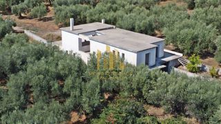 Μονοκατοικία 300 τ.μ. για πώληση