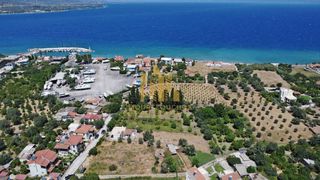 Οικόπεδο 500 τ.μ. για πώληση, Αχαΐα, Αίγιο-thumb-5