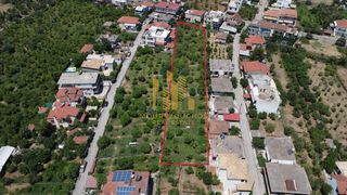 Οικόπεδο 2.400 τ.μ. για πώληση, Αχαΐα, Αίγιο-thumb-4