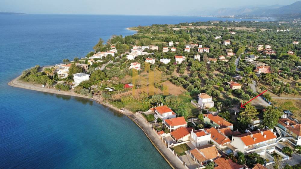 Οικόπεδο 1.000 τ.μ. προς πώληση, Λαμπίρι Ερινεού