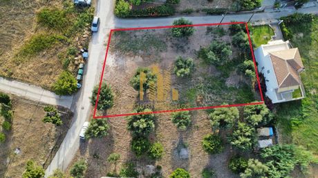 Land plot 1.000sqm for sale-Erineo » Lampiri