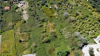 Οικόπεδο 2.636 τ.μ. για πώληση, Αχαΐα, Ακράτα-thumb-4