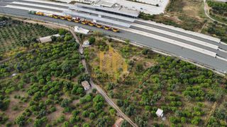 Αγροτεμάχια 3.370 τ.μ. για πώληση, Αχαΐα, Αίγιο-thumb-4