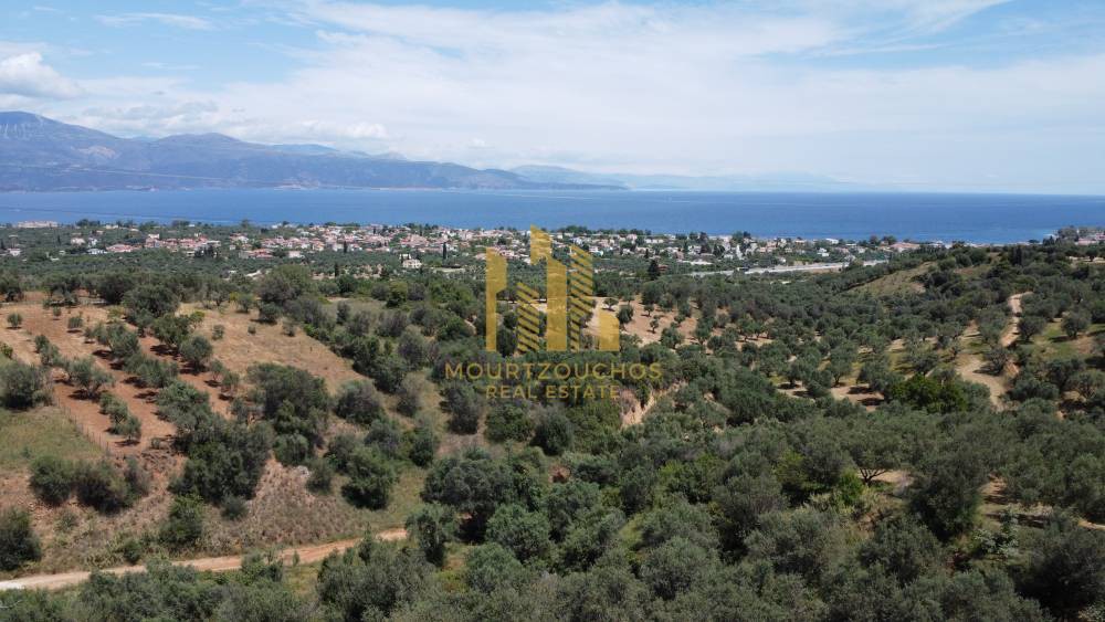 Οικόπεδο 8.000 τ.μ. προς πώληση, Αχαΐα, Ερίνεο