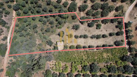 Land plot 8.000sqm for sale-Erineo » Neos Erineos