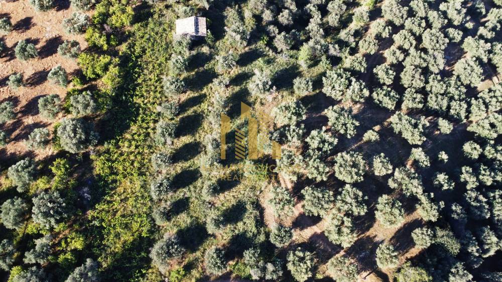 Οικόπεδο 8.000 τ.μ. προς πώληση, Αχαΐα, Ερίνεο