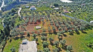 Οικόπεδο 5.200 τ.μ. για πώληση, Αχαΐα, Αίγιο-thumb-3