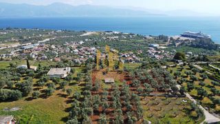 Οικόπεδο 5.200 τ.μ. για πώληση, Αχαΐα, Αίγιο-thumb-1