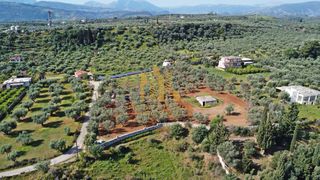 Οικόπεδο 5.200 τ.μ. για πώληση, Αχαΐα, Αίγιο-thumb-13