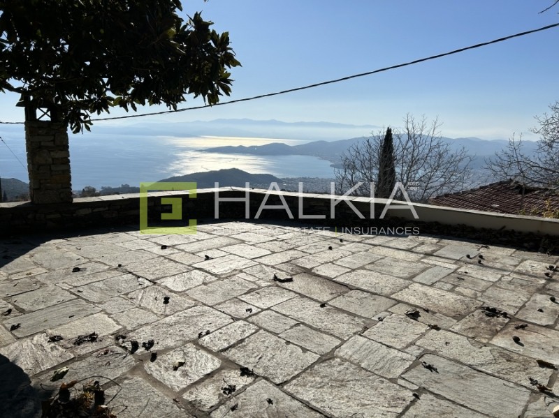 Μονοκατοικία 256 τ.μ. προς πώληση, Κέντρο Πορταριάς
