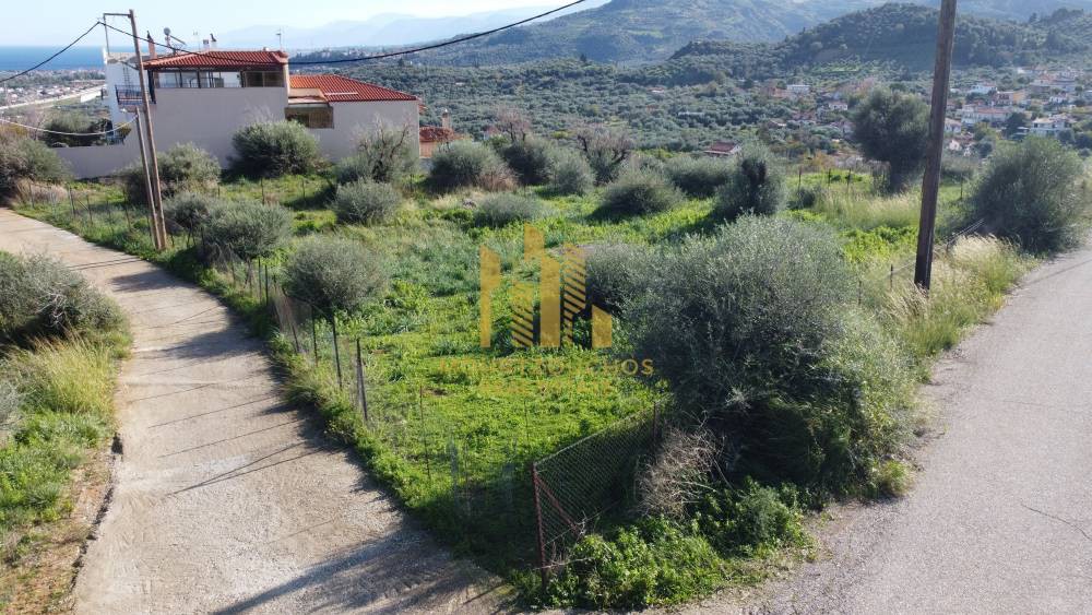 Οικόπεδο 1.029 τ.μ. προς πώληση, Αχαΐα, Ερίνεο