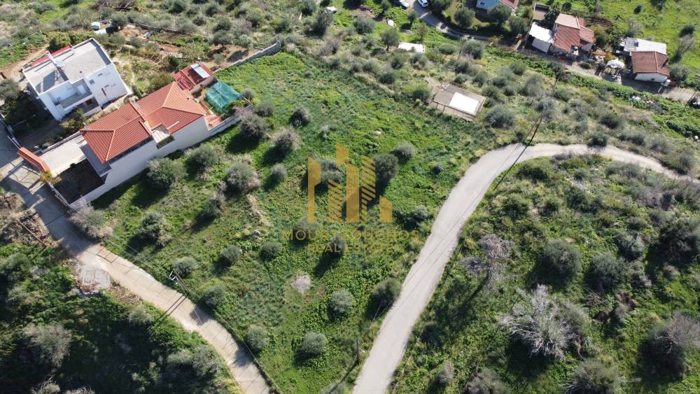 Οικόπεδο 1.029 τ.μ. προς πώληση, Αχαΐα, Ερίνεο