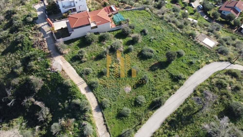 Οικόπεδο 1.029 τ.μ. προς πώληση, Αχαΐα, Ερίνεο
