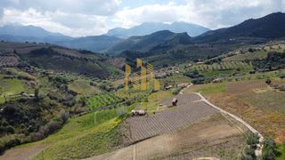 Αγροτεμάχια 5.000 τ.μ. για πώληση, Αχαΐα, Αιγιάλεια-thumb-3