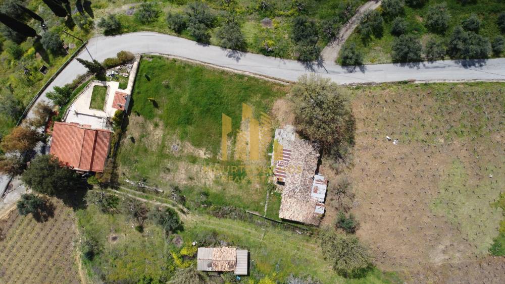 Αγροτεμάχια 5.000 τ.μ. πρός πώληση, Αχαΐα, Αιγιάλεια