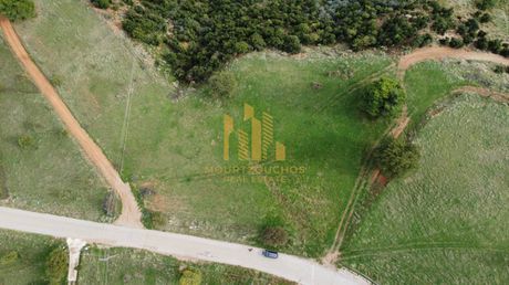 Land plot 8.100sqm for sale-Aigio » Pirgaki