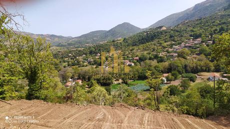 Land plot 1.176sqm for sale-Kalavrita » Plataniotissa