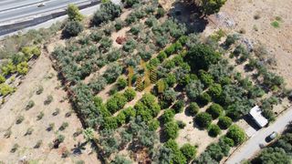 Οικόπεδο 4.000 τ.μ. για πώληση, Αχαΐα, Αιγιάλεια-thumb-11