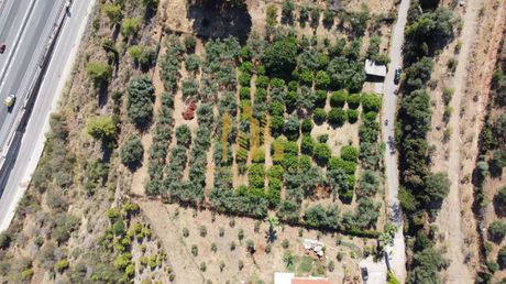 Land plot 4.000sqm for sale-Egialia » Rododafni