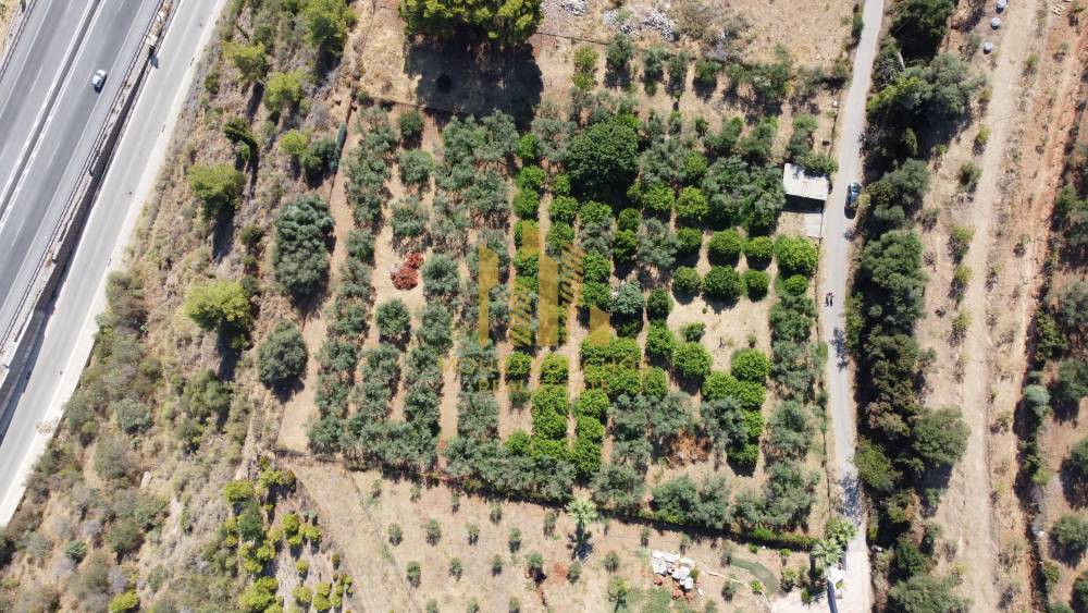 Οικόπεδο 4.000 τ.μ. προς πώληση, Αχαΐα, Αιγιάλεια