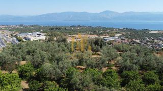 Οικόπεδο 4.000 τ.μ. για πώληση, Αχαΐα, Αιγιάλεια-thumb-6