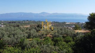 Οικόπεδο 4.000 τ.μ. για πώληση, Αχαΐα, Αιγιάλεια-thumb-7