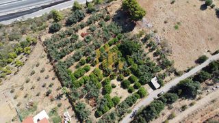 Οικόπεδο 4.000 τ.μ. για πώληση, Αχαΐα, Αιγιάλεια-thumb-13