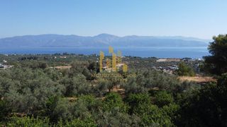 Οικόπεδο 4.000 τ.μ. για πώληση, Αχαΐα, Αιγιάλεια-thumb-8